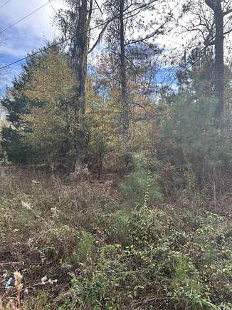 0.3 Acres of Residential Land for Sale in Kingstree, South Carolina