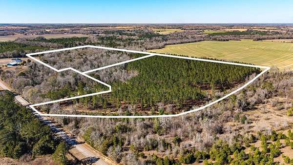 46.8 Acres of Recreational Land for Sale in Ashford, Alabama