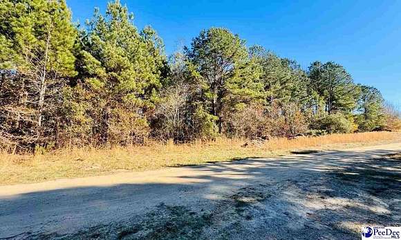 1 Acre of Residential Land for Sale in Wallace, South Carolina