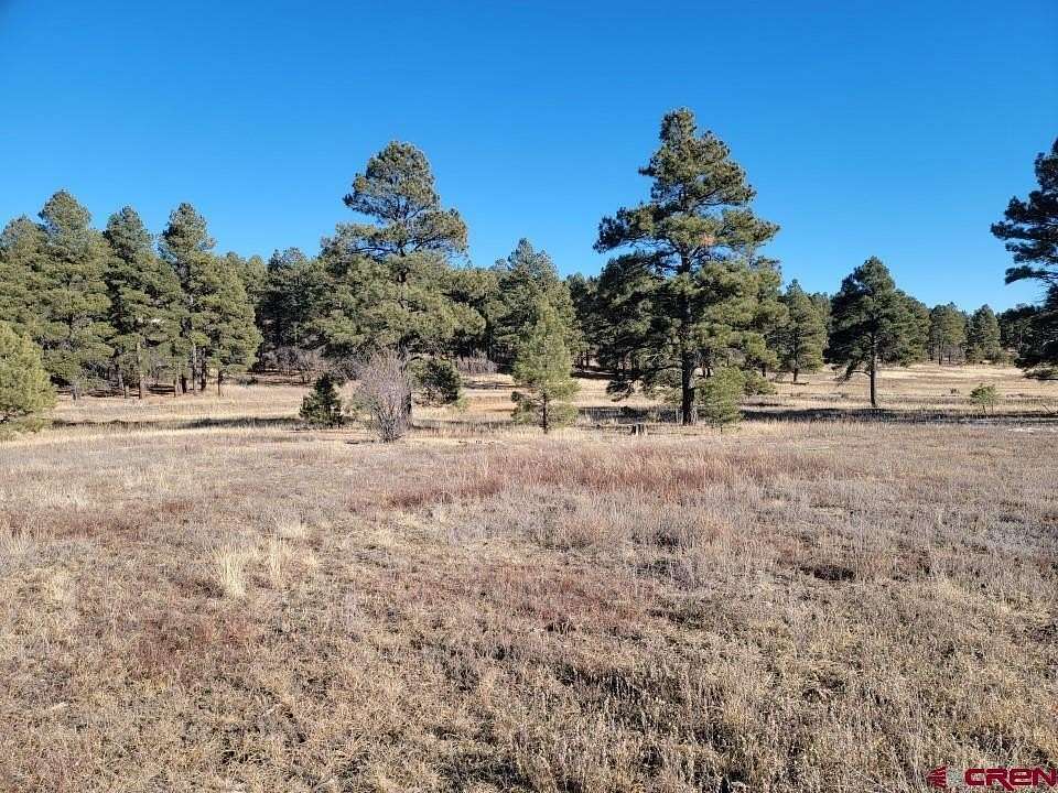 0.31 Acres of Residential Land for Sale in Pagosa Springs, Colorado