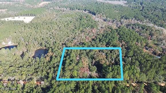 5 Acres of Residential Land with Home for Sale in Vernon, Florida