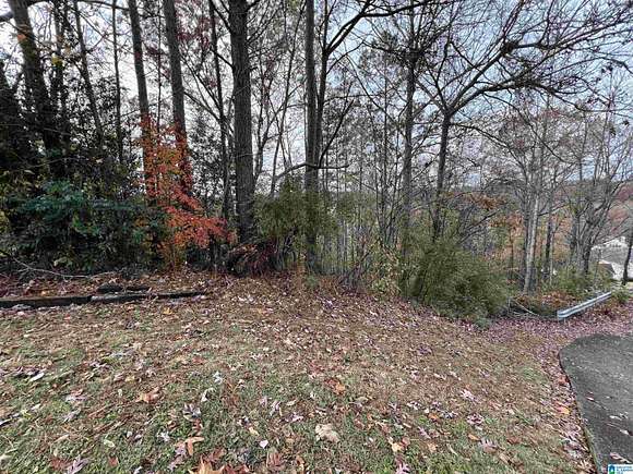 0.27 Acres of Land for Sale in Birmingham, Alabama