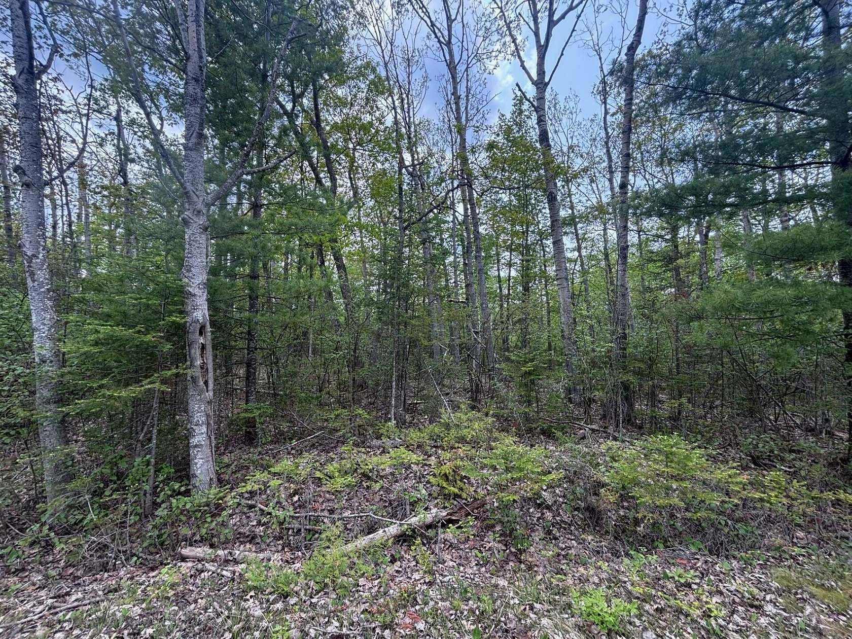 1 Acre of Land for Sale in Presque Isle, Michigan