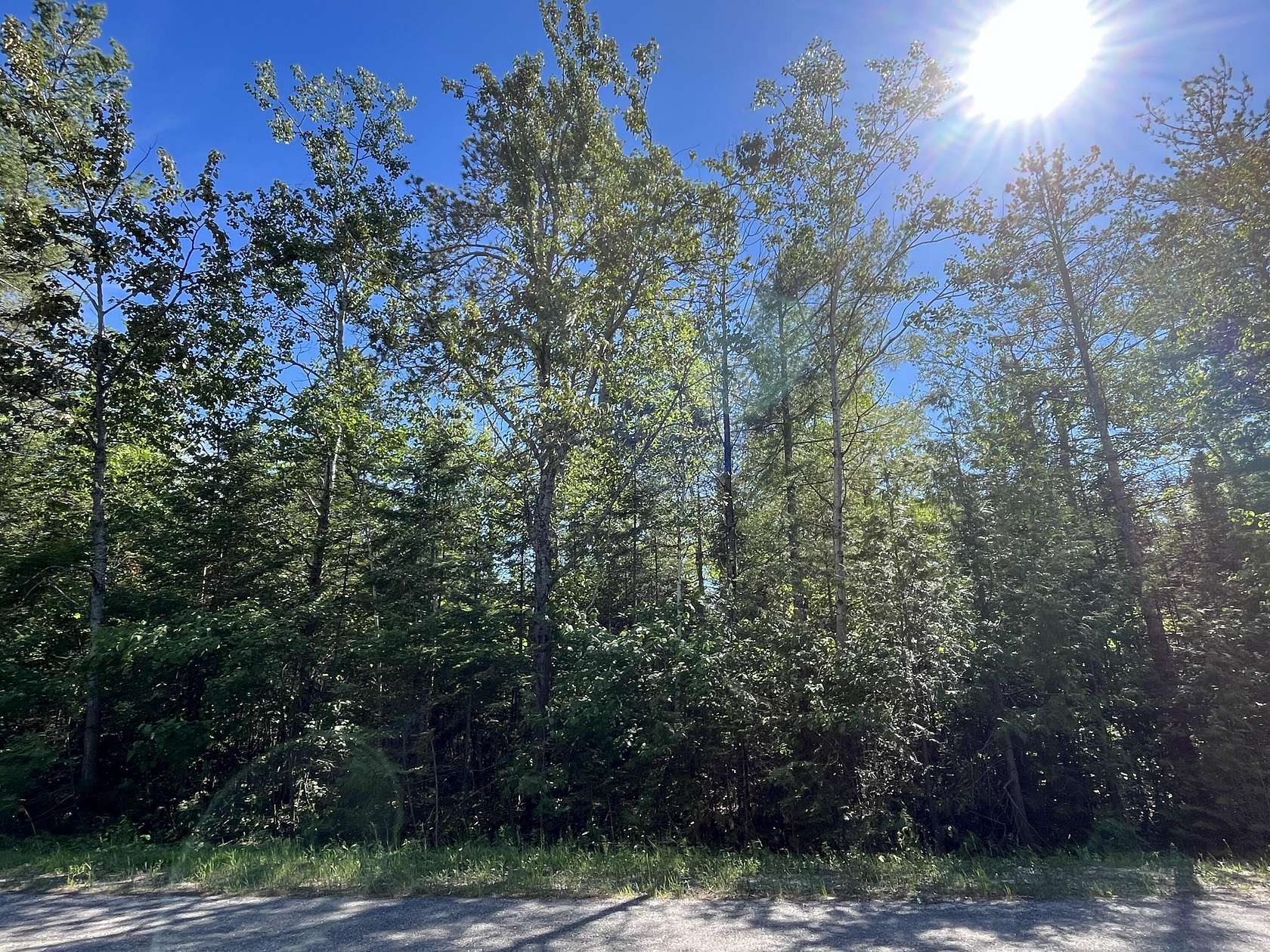 1 Acre of Land for Sale in Presque Isle, Michigan