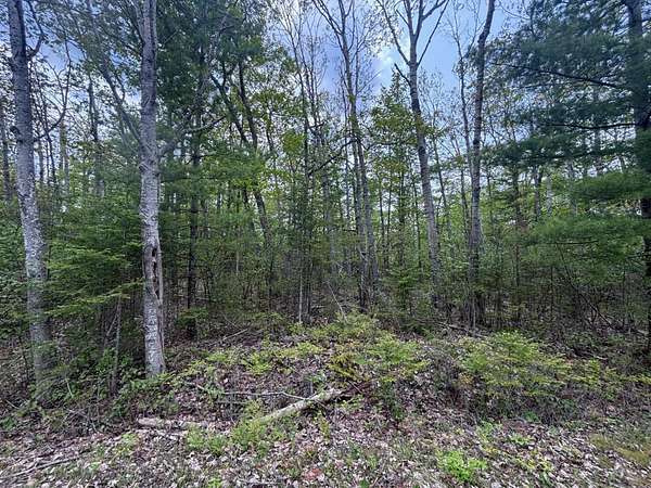 1 Acre of Land for Sale in Presque Isle, Michigan
