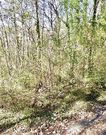 0.37 Acres of Residential Land for Sale in Chattanooga, Tennessee