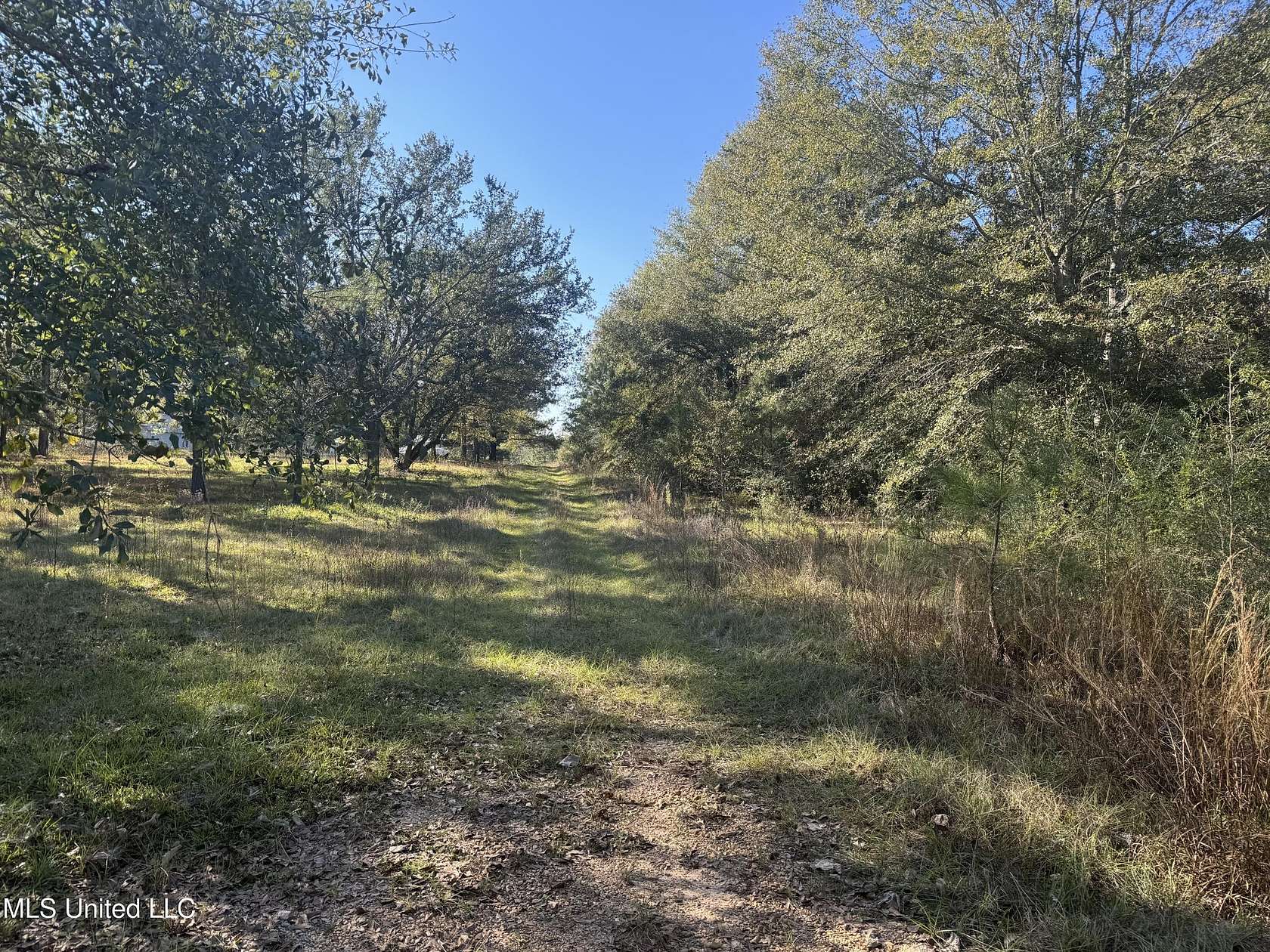 1.91 Acres of Residential Land for Sale in Lumberton, Mississippi