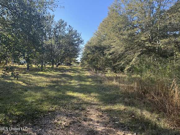 1.91 Acres of Residential Land for Sale in Lumberton, Mississippi