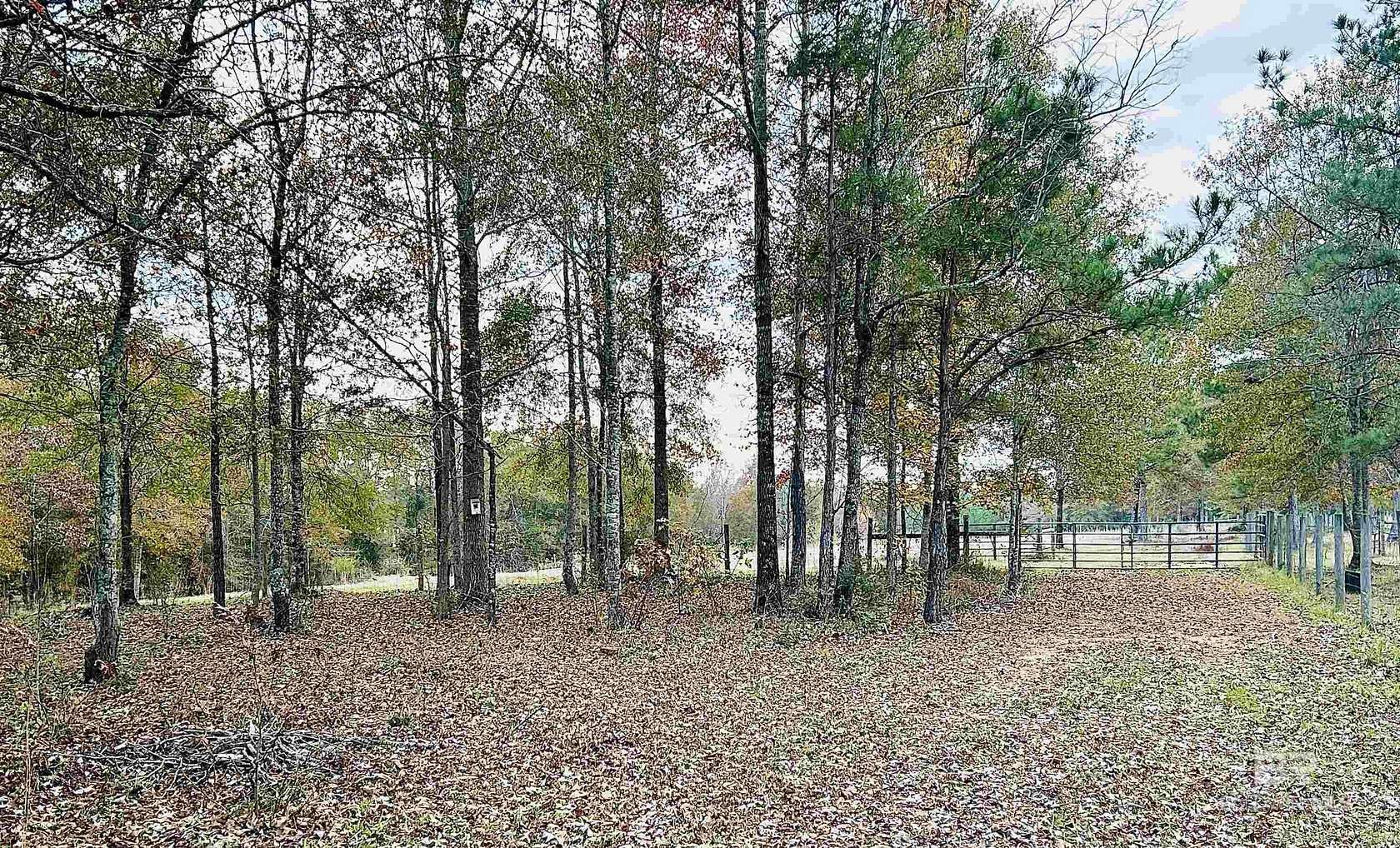 24 Acres of Recreational Land & Farm for Sale in Brewton, Alabama