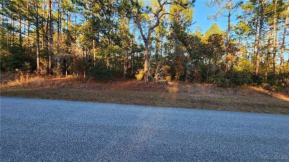 0.23 Acres of Residential Land for Sale in Citrus Springs, Florida