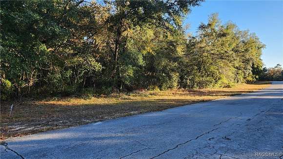 0.23 Acres of Residential Land for Sale in Citrus Springs, Florida