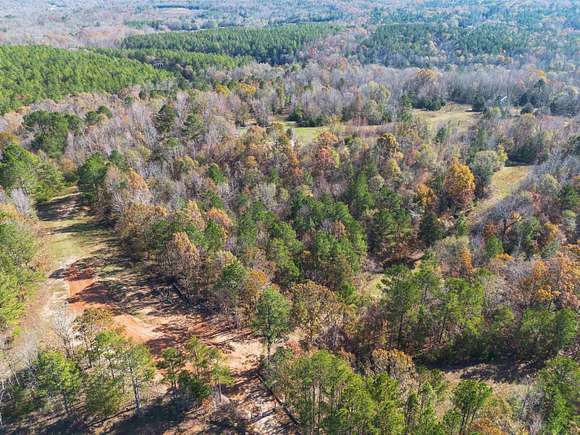 66 Acres of Land for Sale in Waterloo, South Carolina