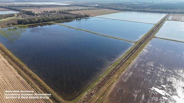 517 Acres of Recreational Land & Farm for Sale in Marksville, Louisiana