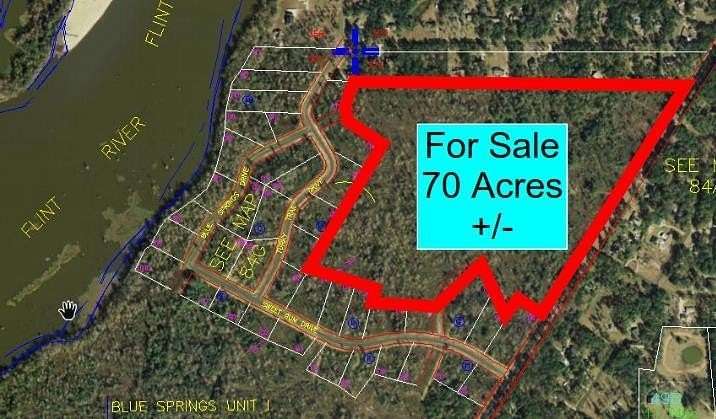 70 Acres of Land for Sale in Bainbridge, Georgia