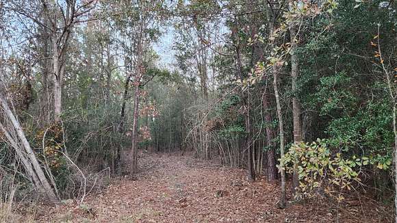 2 Acres of Residential Land for Sale in Hephzibah, Georgia