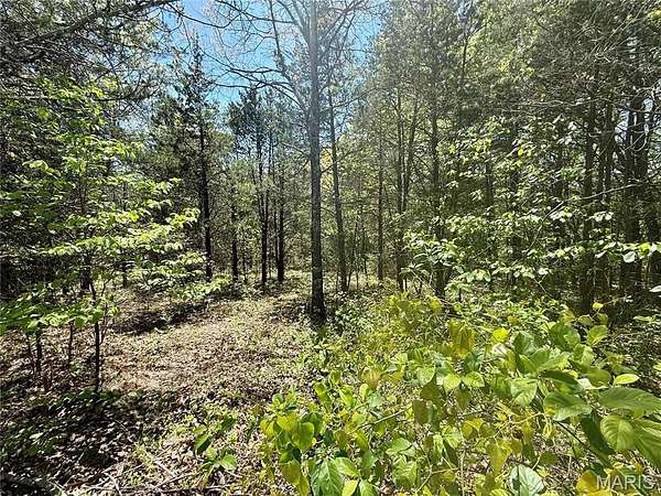 0.24 Acres of Residential Land for Sale in Hillsboro, Missouri