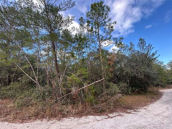 0.3 Acres of Residential Land for Sale in Fort McCoy, Florida