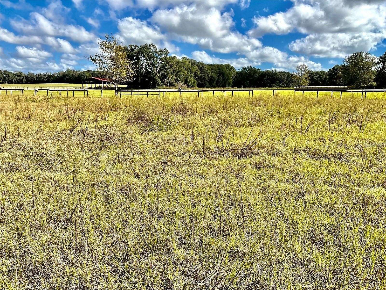 5.9 Acres of Land for Sale in Ocala, Florida