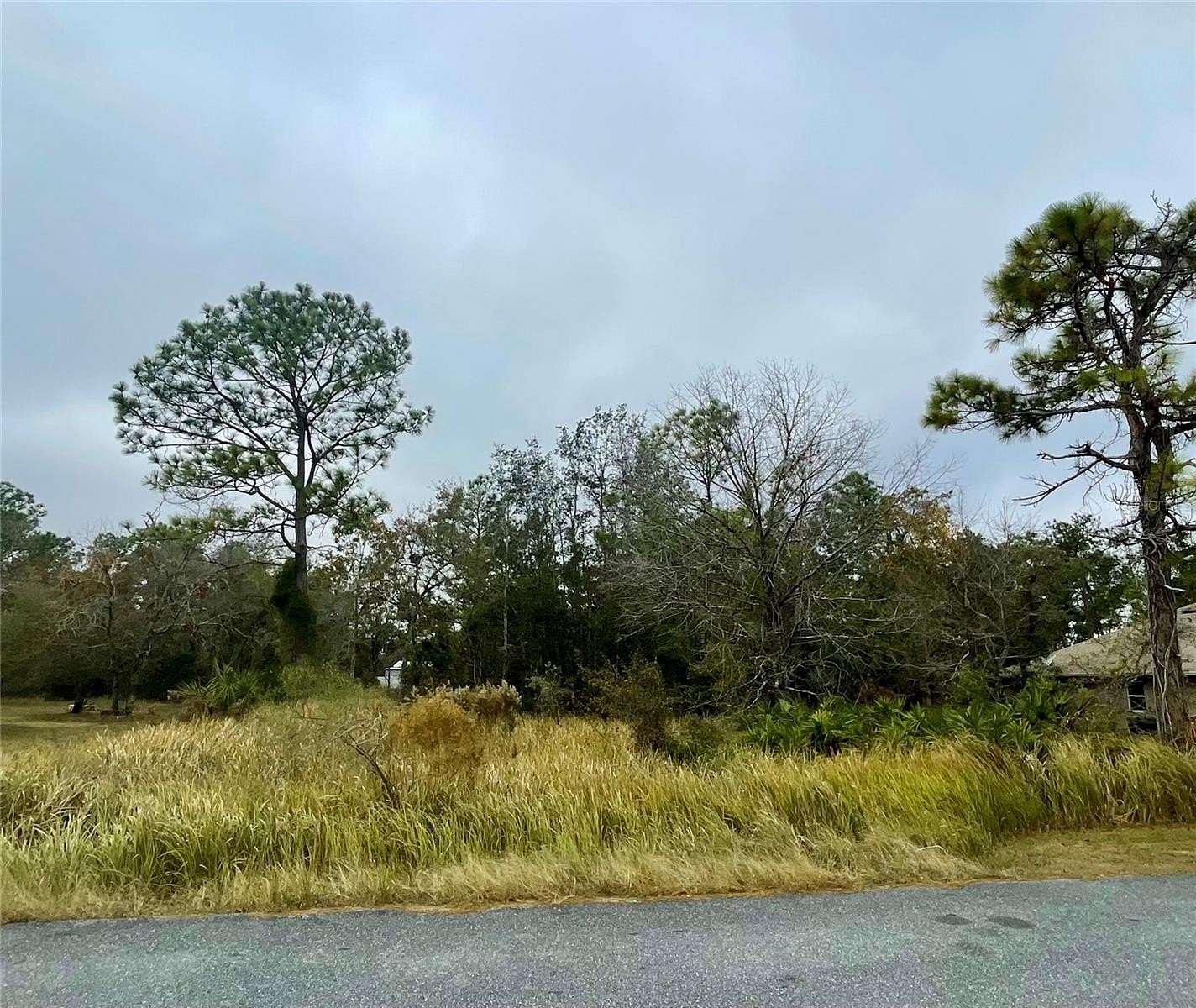 0.5 Acres of Residential Land for Sale in Brooksville, Florida