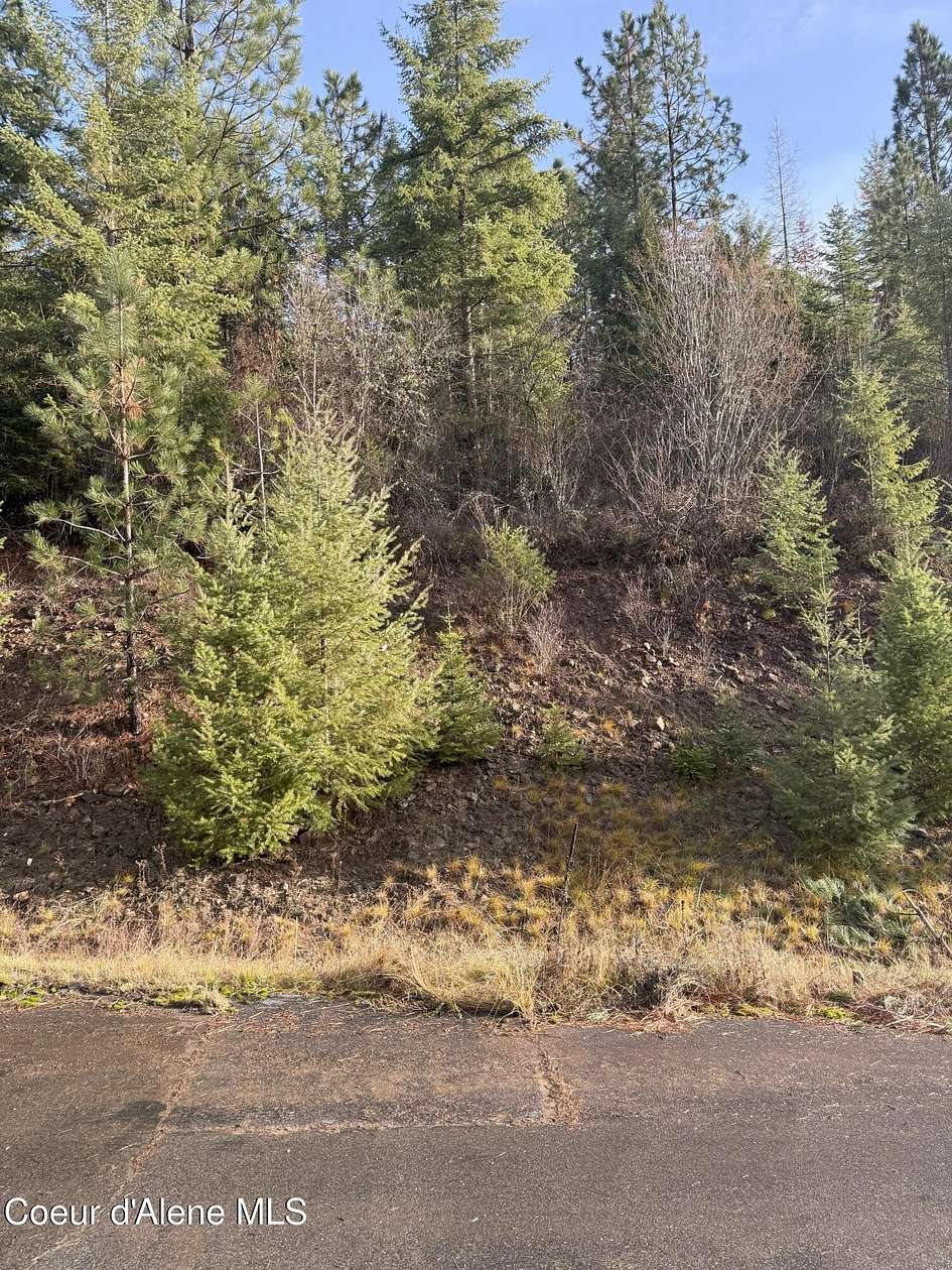 1.48 Acres of Land for Sale in Harrison, Idaho