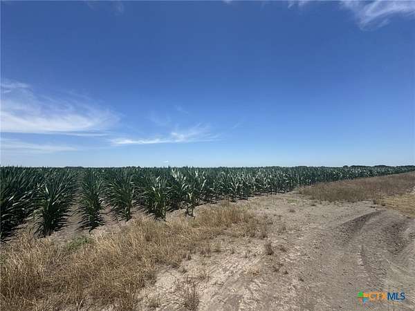 41 Acres of Agricultural Land for Sale in Louise, Texas
