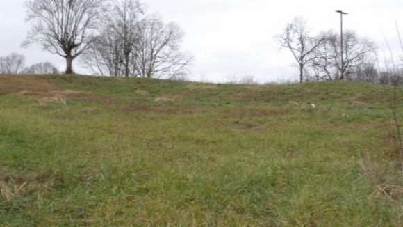 15.5 Acres of Land for Sale in Burkesville, Kentucky