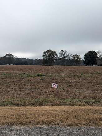 3 Acres of Residential Land with Home for Sale in Headland, Alabama