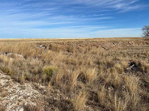 6.4 Acres of Mixed-Use Land for Sale in Muleshoe, Texas