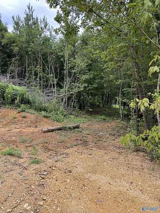 4.65 Acres of Residential Land for Sale in Piedmont, Alabama