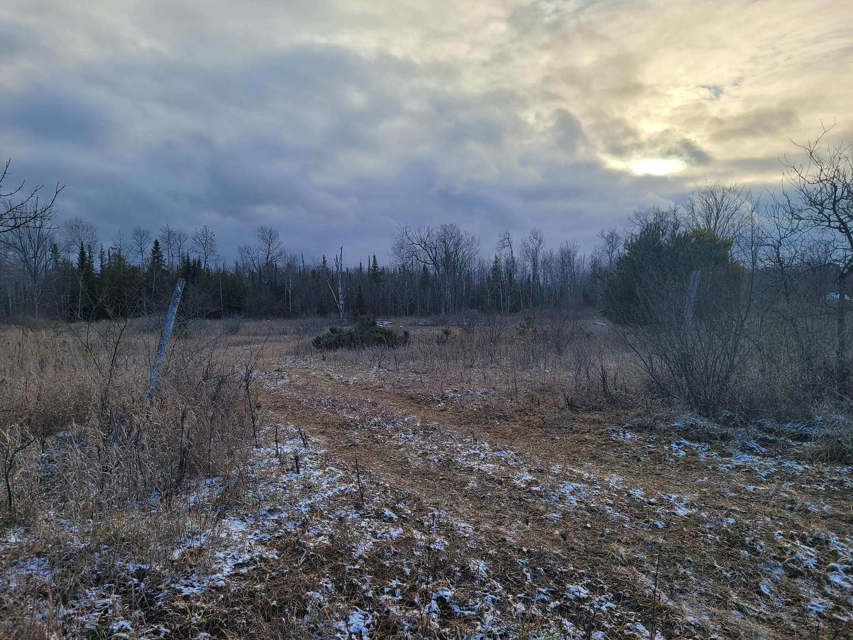 10 Acres of Residential Land for Sale in Onaway, Michigan