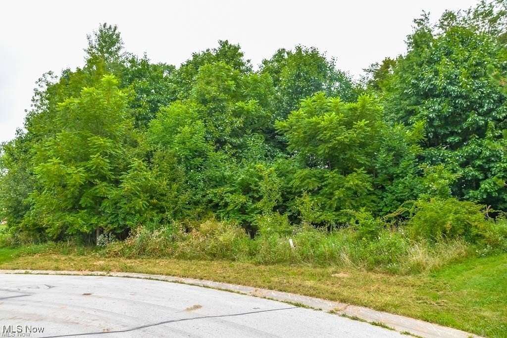 0.454 Acres of Residential Land for Sale in Canton, Ohio