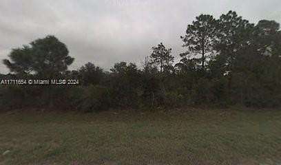 5 Acres of Residential Land for Sale in Okeechobee, Florida