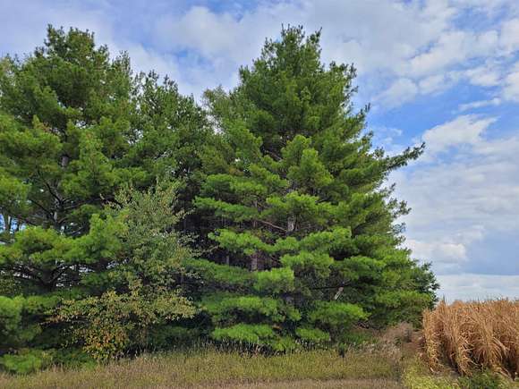 35 Acres of Agricultural Land for Sale in Waterloo, Iowa