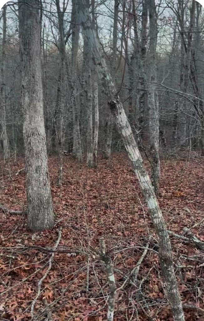 1.5 Acres of Land for Sale in Monterey, Tennessee