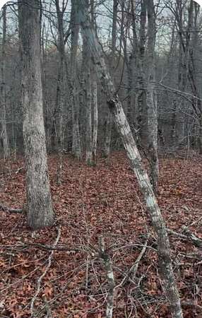 1.5 Acres of Land for Sale in Monterey, Tennessee