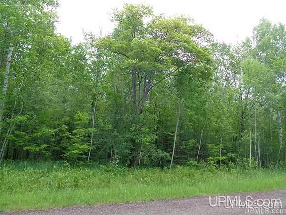 40 Acres of Recreational Land for Sale in Ontonagon, Michigan