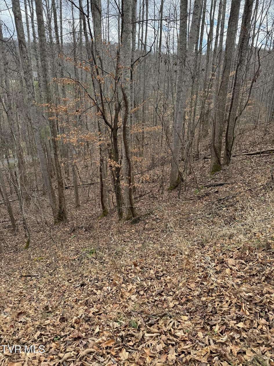 Residential Land for Sale in Unicoi, Tennessee