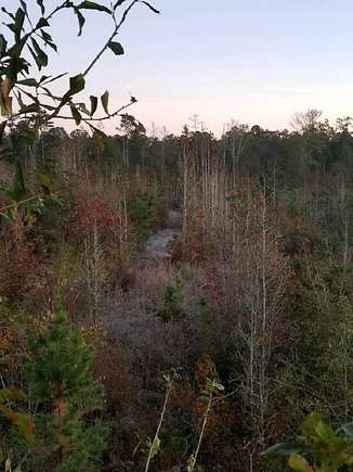 42 Acres Of Recreational Land With Home For Sale In Clayton, Alabama 