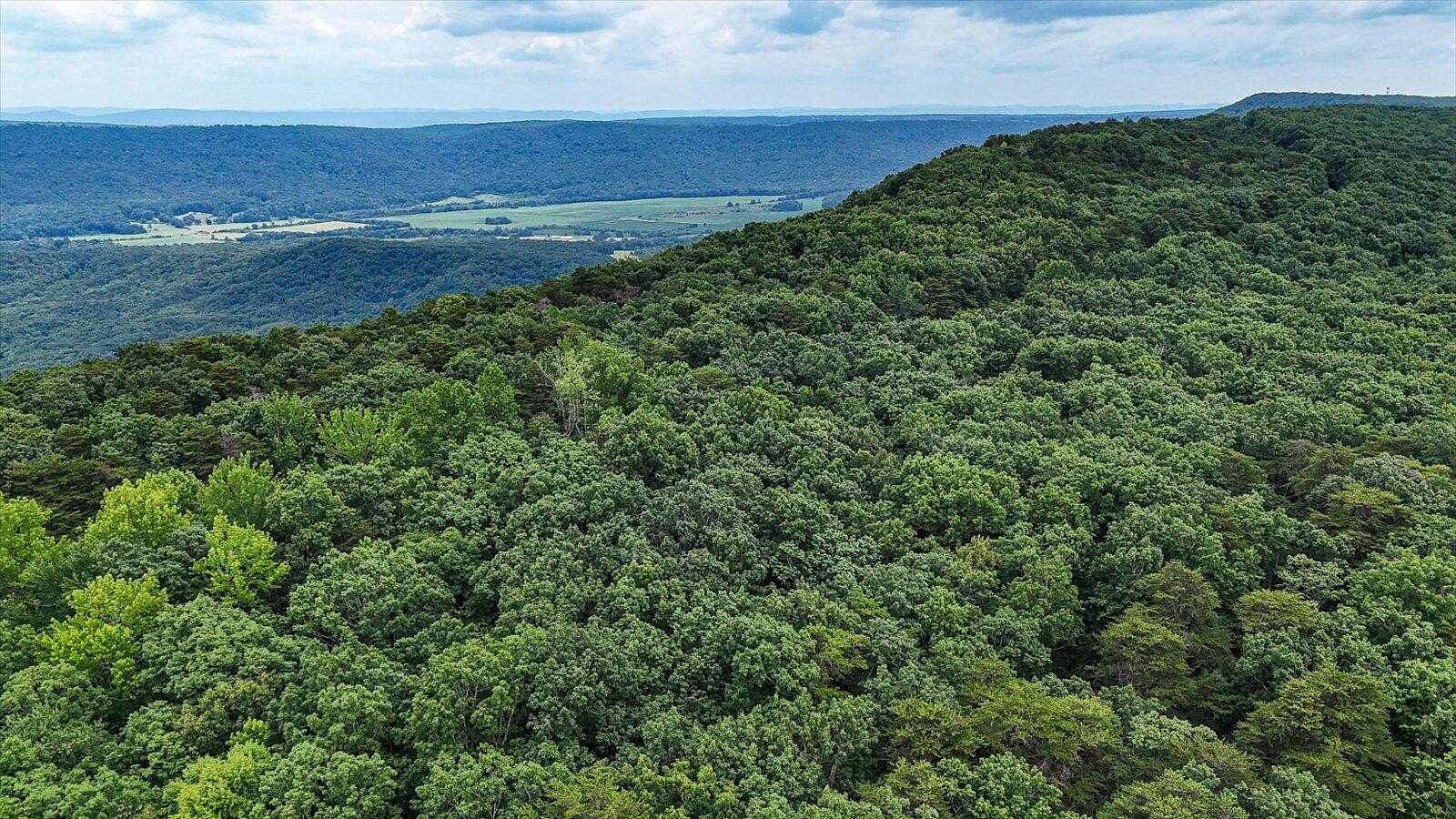 146.34 Acres of Land for Sale in Menlo, Georgia