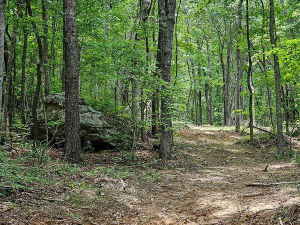 146 Acres of Recreational & Residential Land for Sale in Menlo, Georgia