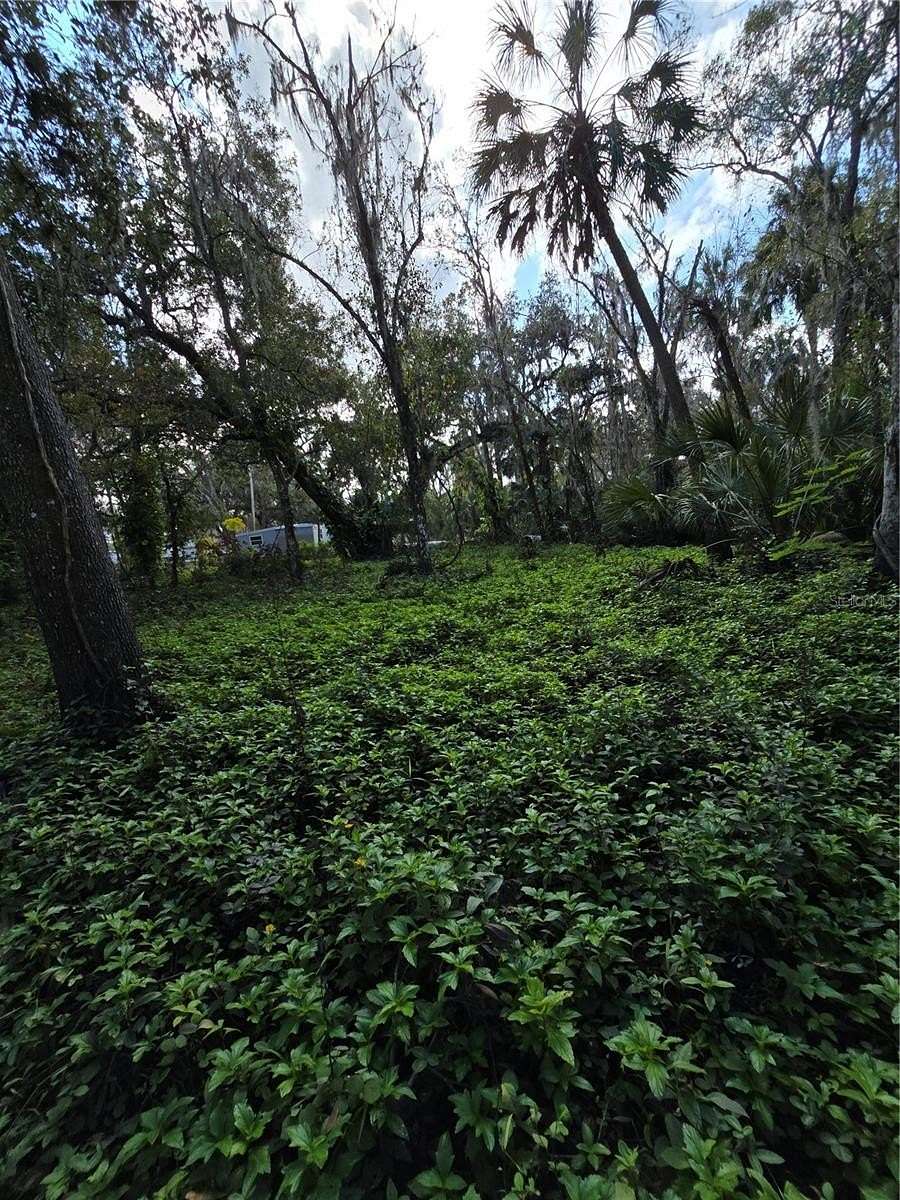 0.21 Acres of Residential Land for Sale in Brandon, Florida