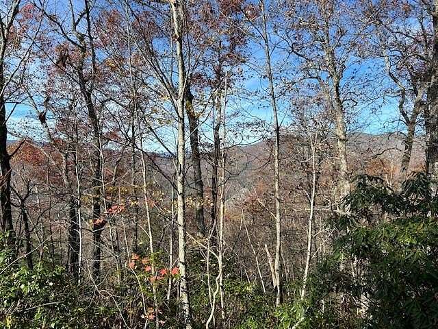 Residential Land for Sale in Topton, North Carolina