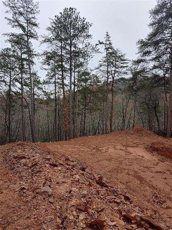 2.23 Acres of Residential Land for Sale in Ranger, Georgia