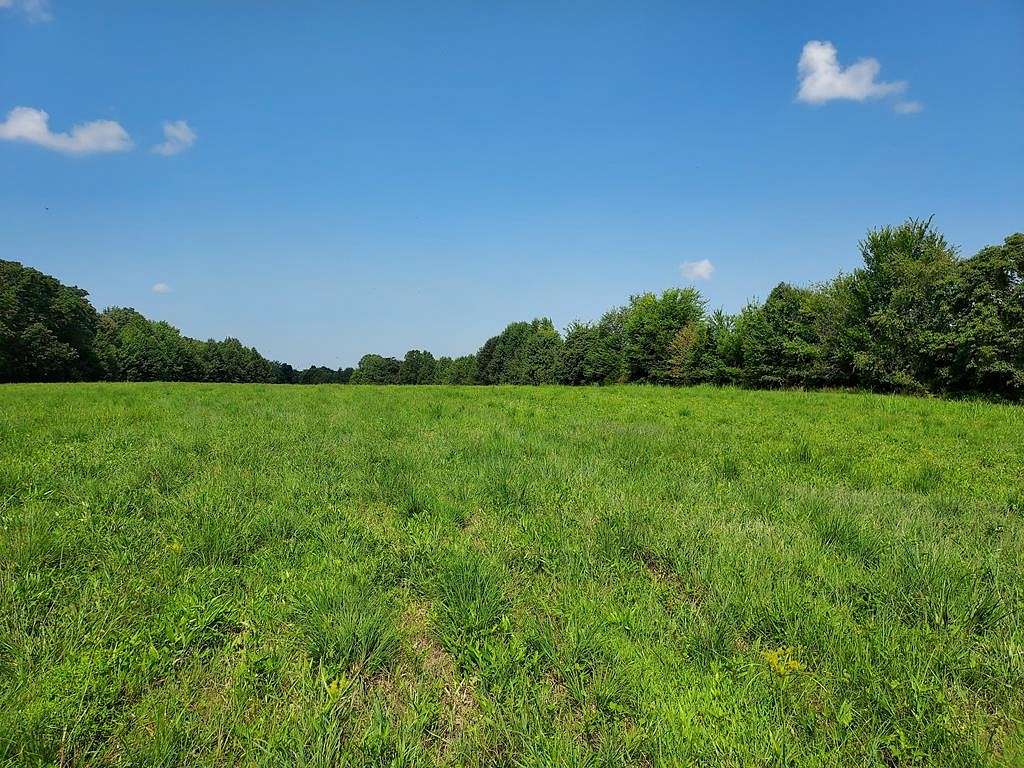 30.2 Acres of Recreational Land & Farm for Sale in Big Sandy, Tennessee