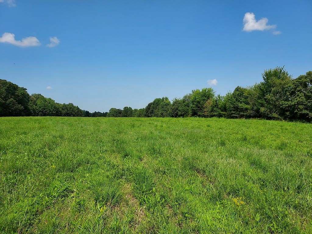30.2 Acres of Land for Sale in Big Sandy, Tennessee