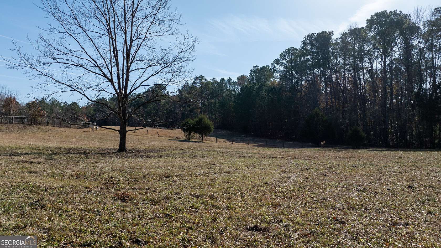 2 Acres of Residential Land for Sale in Senoia, Georgia