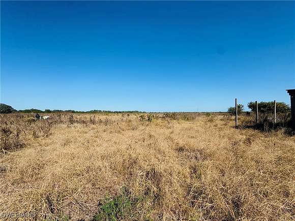 46.53 Acres of Agricultural Land for Sale in LaBelle, Florida