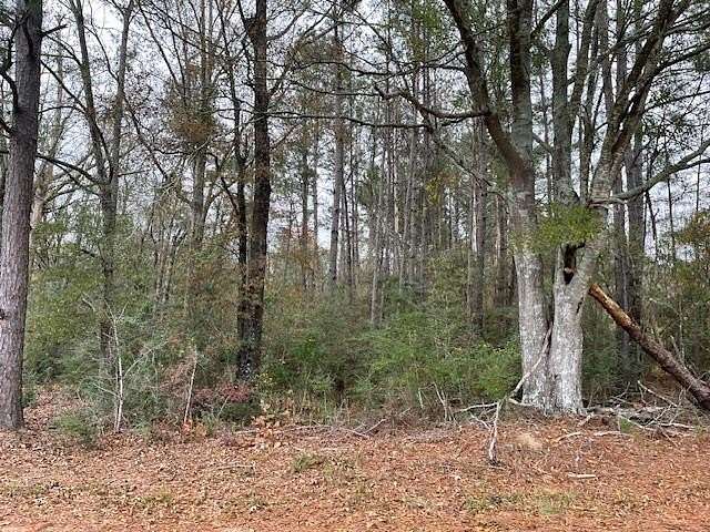 20 Acres of Recreational Land for Sale in Jayess, Mississippi