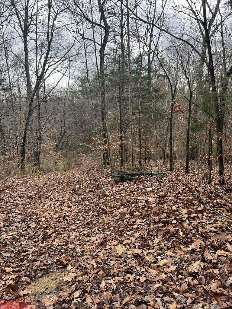 Residential Land for Sale in Byrdstown, Tennessee