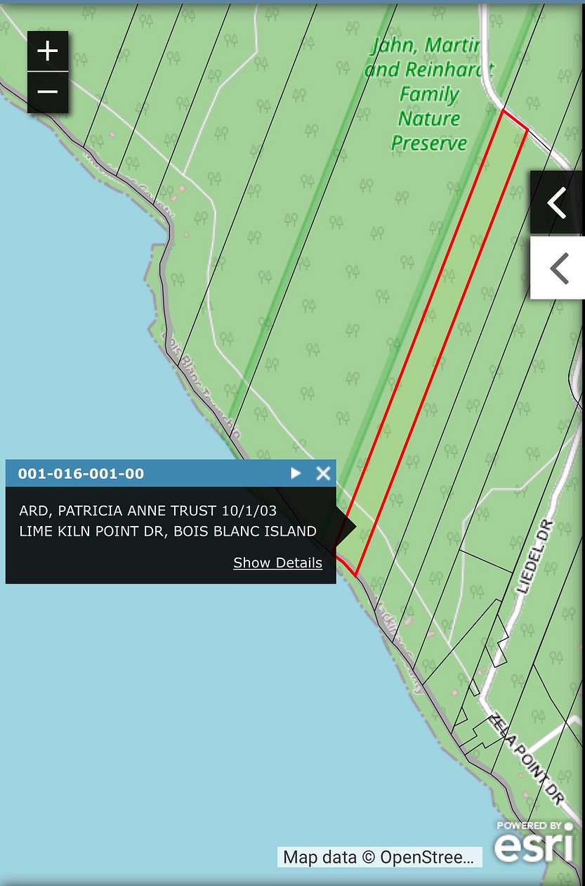 Land for Sale in Bois Blanc Township, Michigan